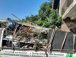 Best Shed Removal  in Williams, OR